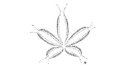 Ortho-Bionomy Connection