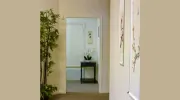 Dr. Qin Acupuncture Chinese Medicine
