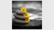 John Hood Chiropractic Care Center