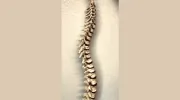 LIFELINE Chiropractic & Applied Kinesiology