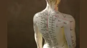 Acupuncture Health Network
