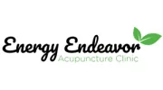 Energy Endeavor