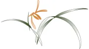 Health Advantage Yoga Center
