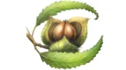 Chestnut School of Herbal Medicine