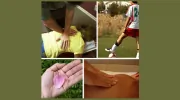 Alice Behr Chiropractic