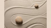 Timeless Acupuncture