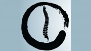 Balance Chiropractic