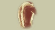Rivertowns Chiropractic