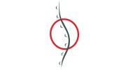 Ridgefield Chiropractic & Wellness Center