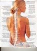 Chiropractic Services - Alternative Health